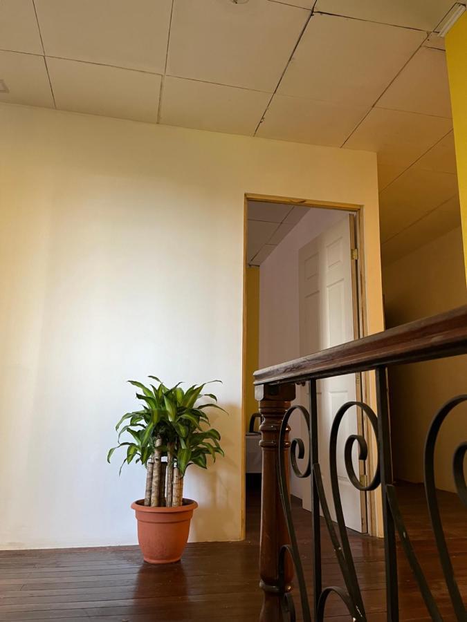 אלאג'ואלה El Parque Bed And Breakfast מראה חיצוני תמונה